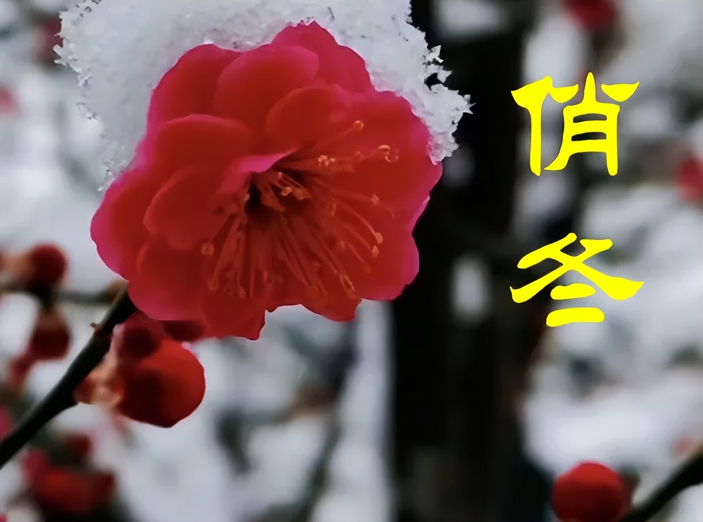 1.09股市早8点丨才涨了一丢丢，还早着呢！(1)